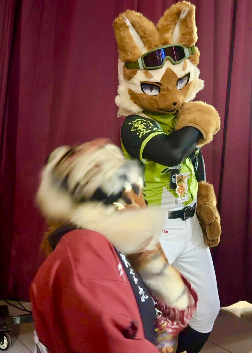 Mojavefur's tweet photo. Just PUNCH!! 👊💥
🤣🤣
🐯: @scott_visnjic
#Furry #Fursuit #FursuitEveryday #FUVE https://t.co/hGPsyTaoVN