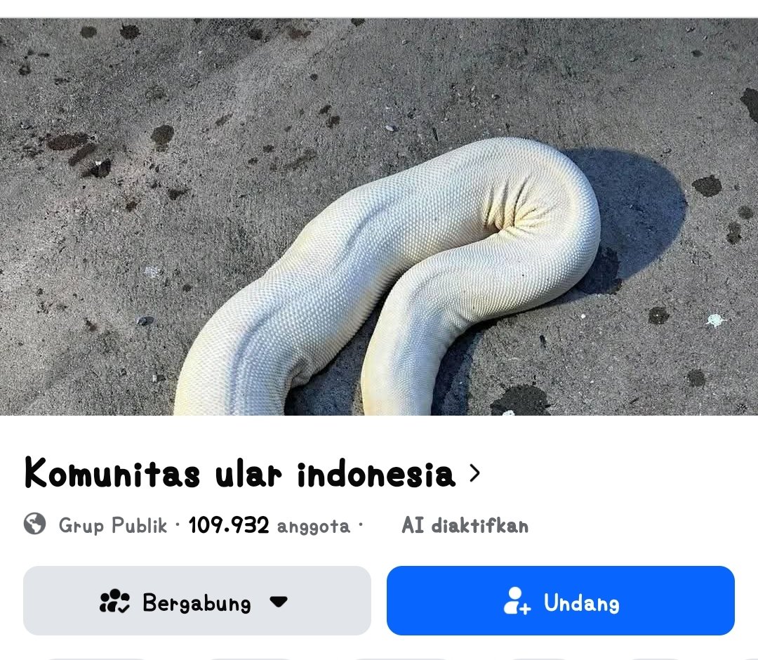 efkandos's tweet photo. @coffebit iki yo iso mas. 
weling karo gibuk, yowajib do geprek. 🤣 https://t.co/lpglXXTAZF