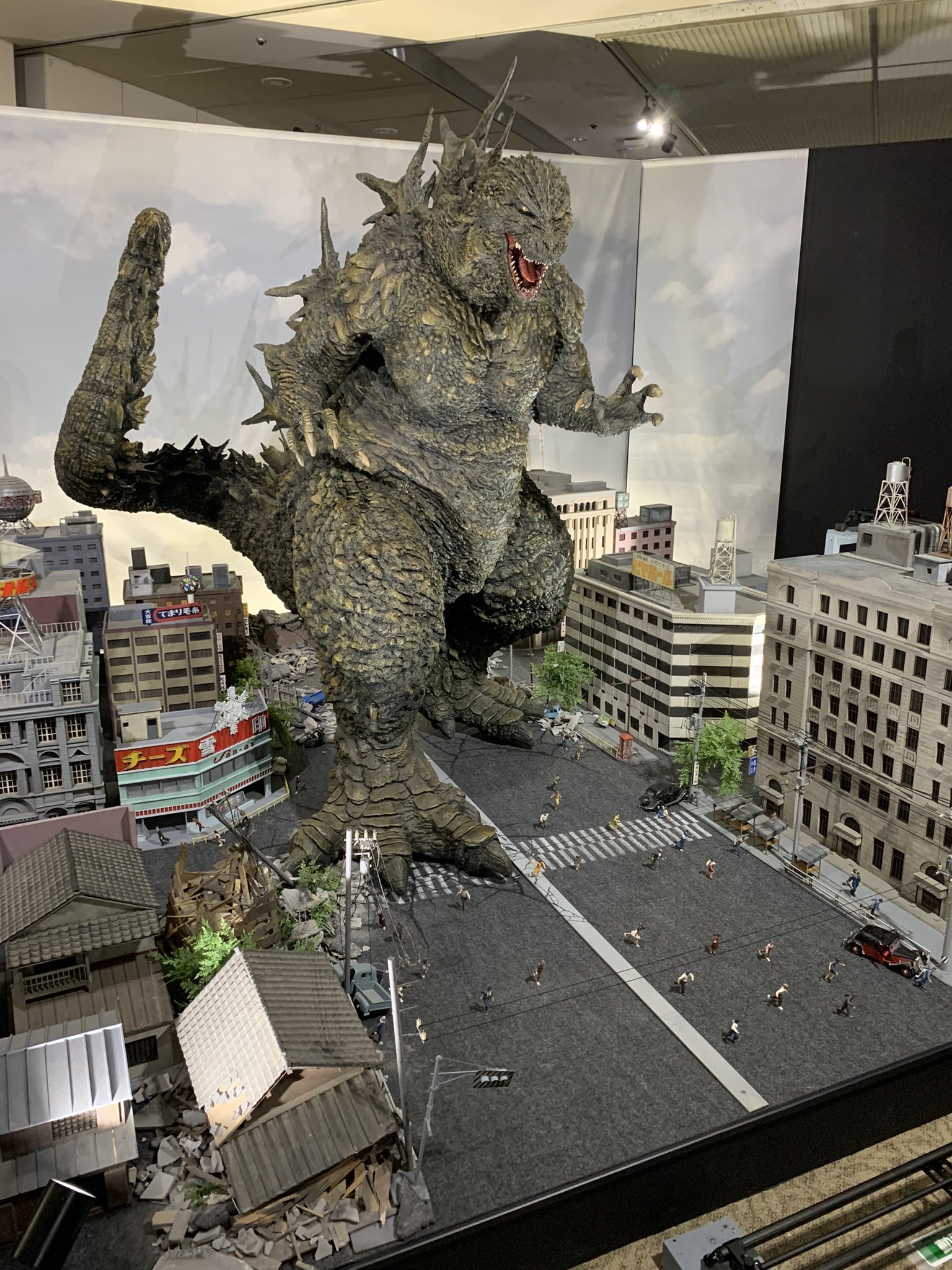 蜜柑と紅葉 柑橘の雫・プレミアム味くらべゼリー16個（おまかせ16種類) | の