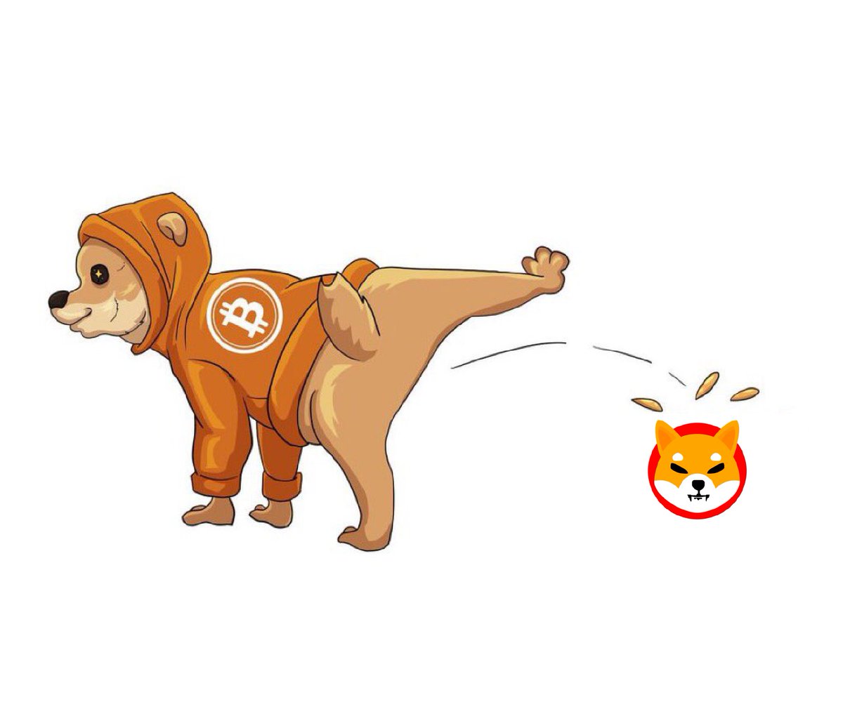 #1 memecoin on Bitcoin: $370M
#1 memecoin on Ethereum: $8.1B

Bitcoin is larger, more secure, more decentralized, and more globally recognized than Ethereum

The market cannot remain this irrational forever

$DOG flipping $SHIB feels inevitable