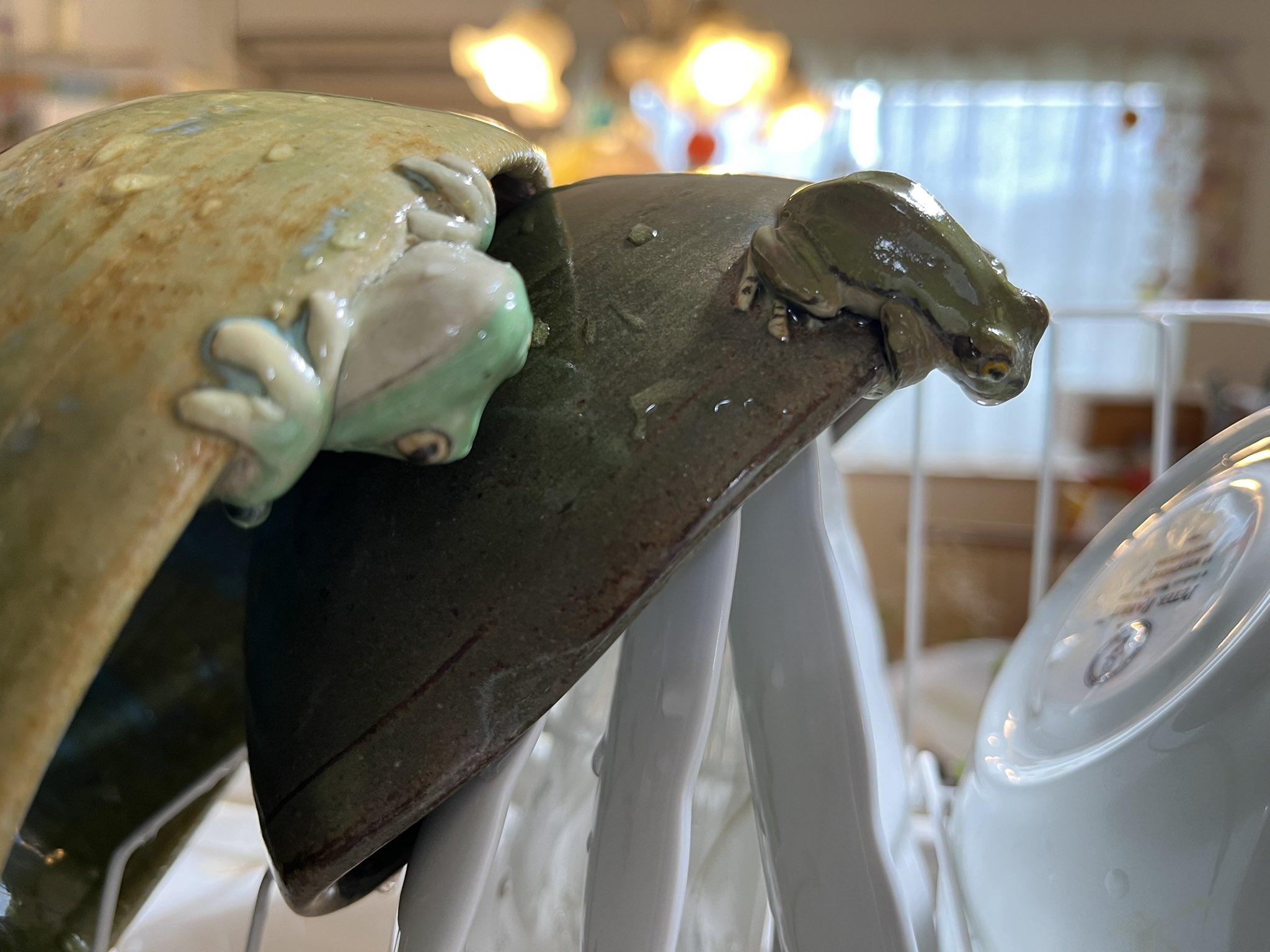 文学・小説 rana RANA (@NarinaRana) / X