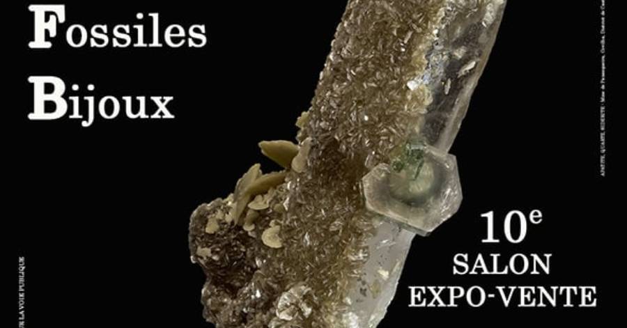Albi - 10e Salon Minéraux fossiles et bijoux  d'ALBI (Tarn) #albi ift.tt/wWiO4BK