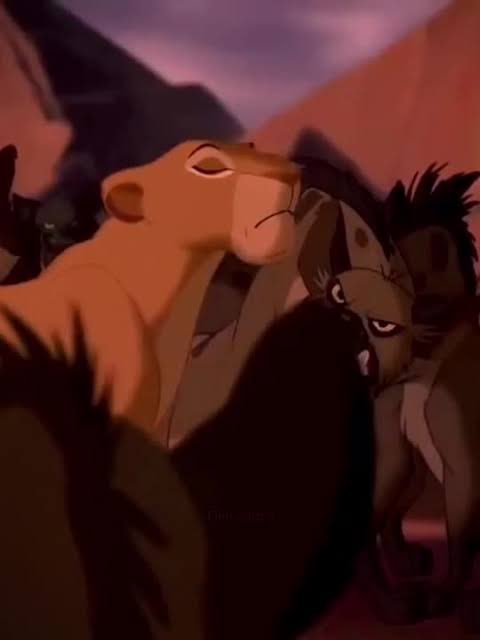 Me siento entre las hienas del Rey León.
- Priscila Valverde 
JAJAJAJAJAJAJA
#LaCasaDeLosFamososMx