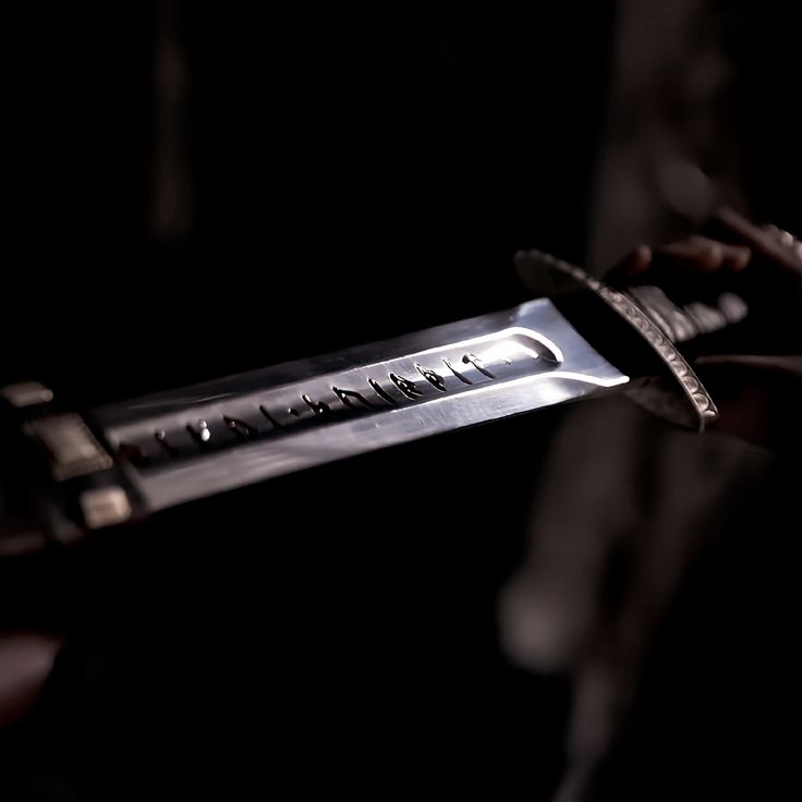 𝐒𝐈𝐆𝐑𝐈𝐃 tweet media