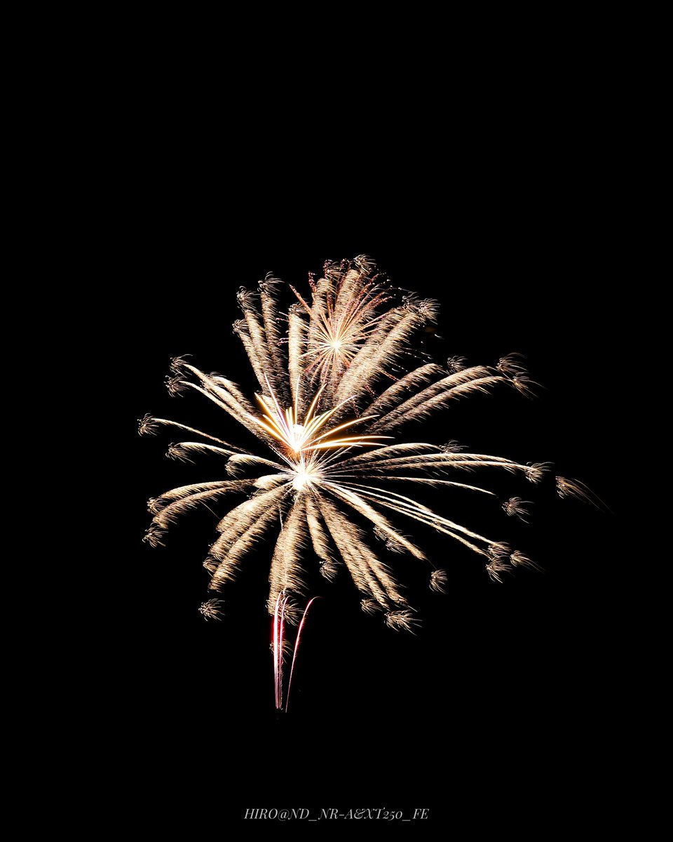 HIRO_JO3WGV's tweet image. 2025.08.09.Sun.🎆 
#花火撮影 🎇📷✨ 
#fireworkphotography 
#fireworksphotography 
#firework #fireworks #花火 📸 
#omsystemom1 #om1markii 📷 
#mzuiko20mmf14pro #om写真投稿 
#単焦点レンズの世界 #om花火写真  instagram.com/p/DNMw07TxoQk/…