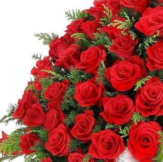 Boldog névnapot kívánok 🌺 
🌺Zsuzsanna,Zsuzsa, Zsuzsi