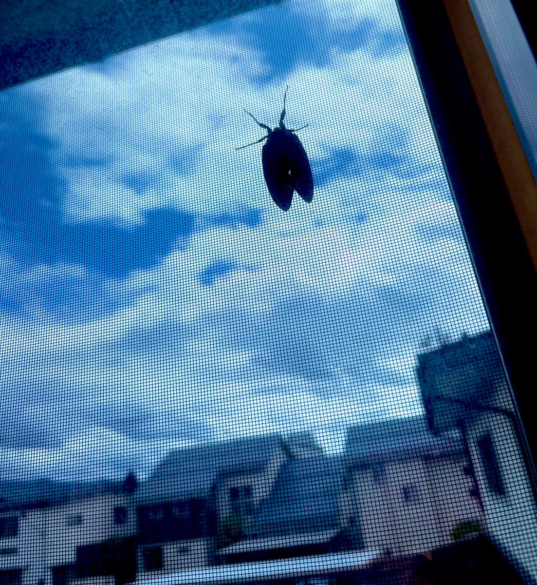 ごめんな、、、
お前は俺のファンかもしれんけど、、、
俺はお前のファンじゃないんだ。。。