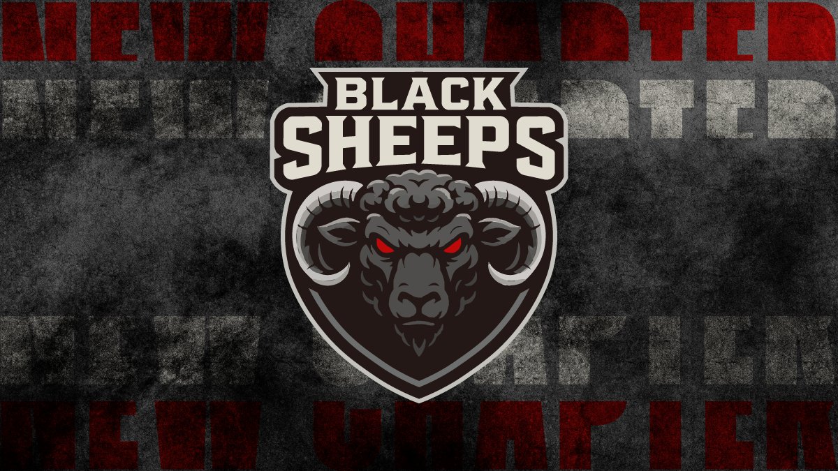 BLACK SHEEP ブラックシープ エッセンシャルチームベスト ジレ M B.S. KNIT VEST/ブラックシープ ニットベスト | Schott（ショット