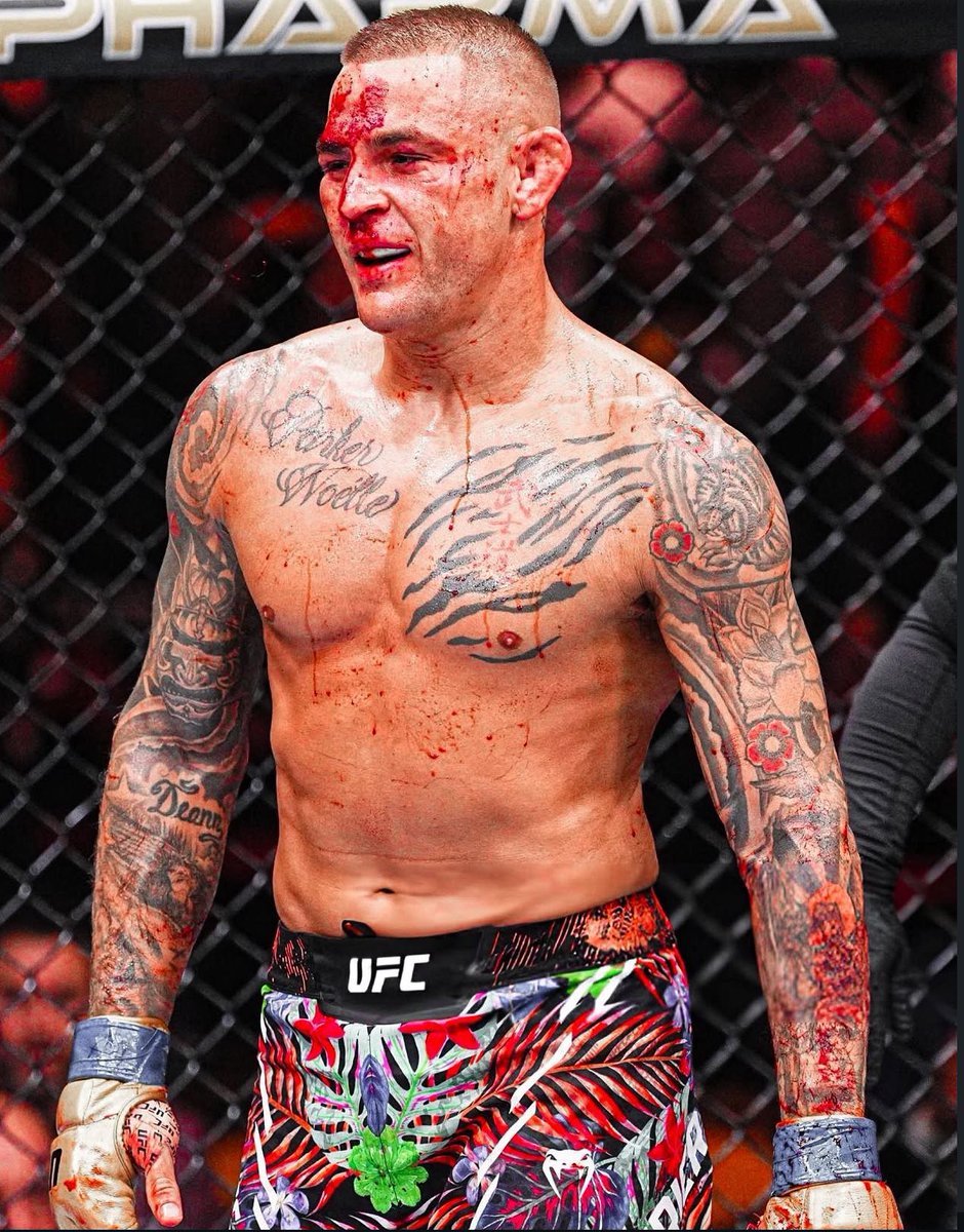 UFC photos that can be used as the next UFC 6 game cover. I’ll go first.