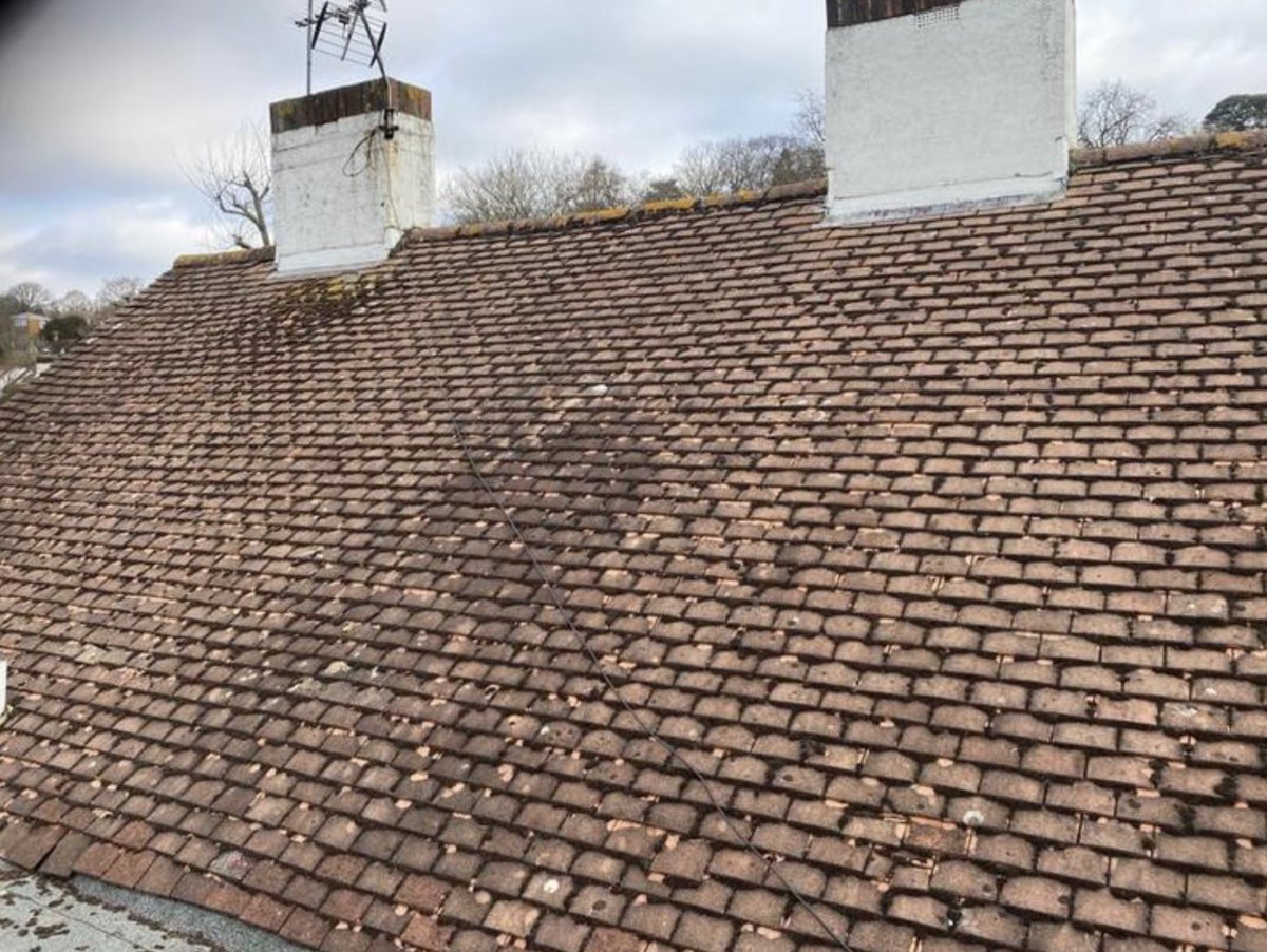 🧽 Eco-Friendly Roof &amp; Gutter Cleans, Colchester

Universal Eco Homes brings your roofline back to life with professional, eco-conscious exterior cleaning.

✅ Gutter clearing
✅ Moss &amp; roof cleaning
✅ Exterior care done right

🔗 Visit trustatrader.com

#TrustedTraders