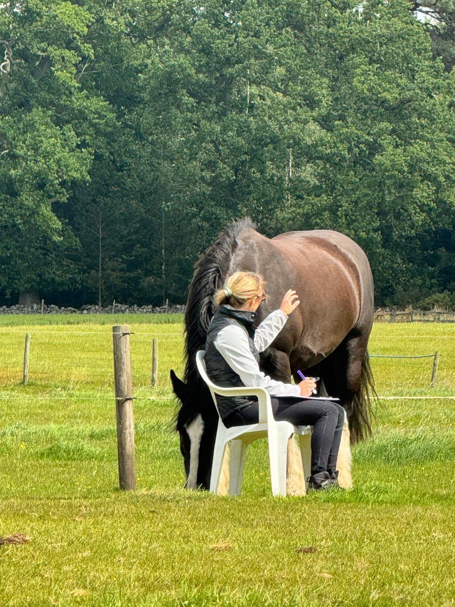 I’m currently studying #EequineAssistedTherapy (EAT) with <a href="/UlsterUni/">Ulster University</a> and enjoying every minute. 
The more I learn about #EAT the more excited I become! Horses &amp; nature have so much to offer neurodivergent and neuromuscular patient groups.