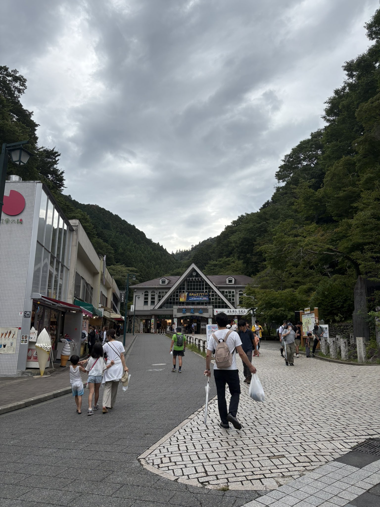 高山　他の方のご購入ご遠慮ください Amazon.co.jp: セイワ(SEIWA) 車内用品 防虫ネット 楽らく