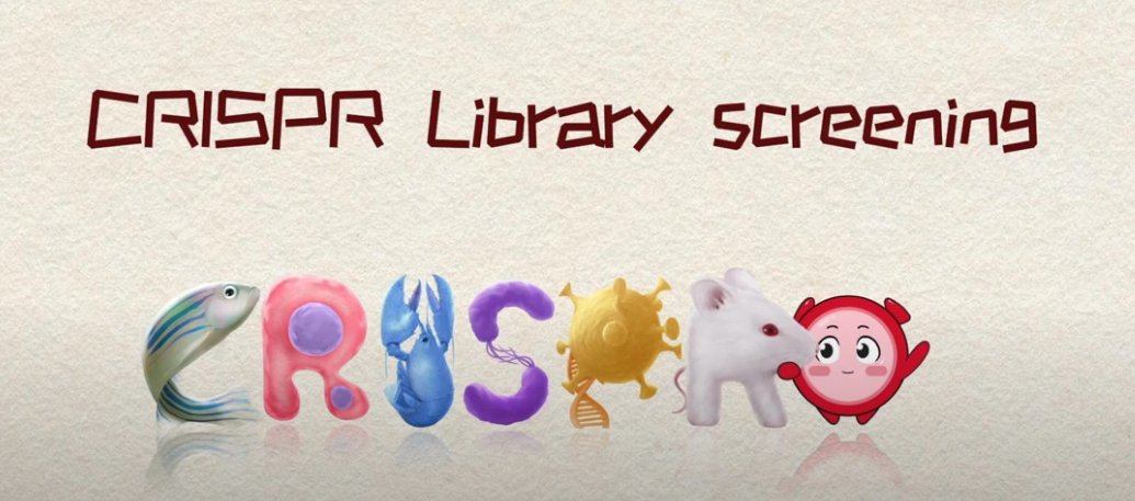 🏄Dive into functional genomics! Watch CRISPR tag cells &amp; uncover key genes via passage, drug &amp; in vivo screening. NGS cracks the code!  📽️See it: youtube.com/watch?v=yOQmHC… #CRISPR #Genomics #FunctionalGenomics #geneediting #science #research #Biology