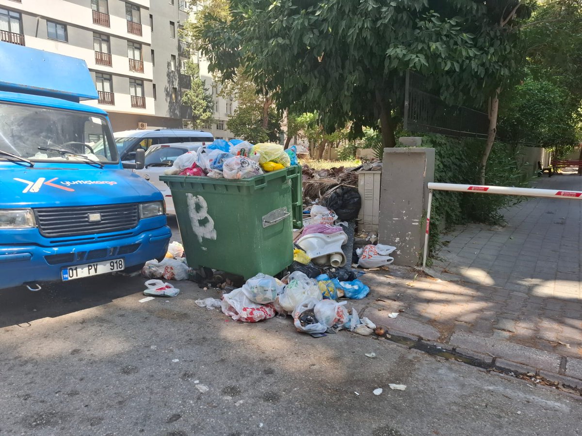 Cem Kaddar tweet media