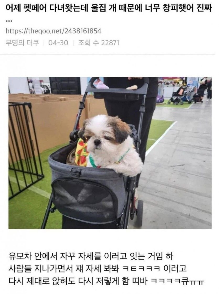 쟤 자세 봐봐