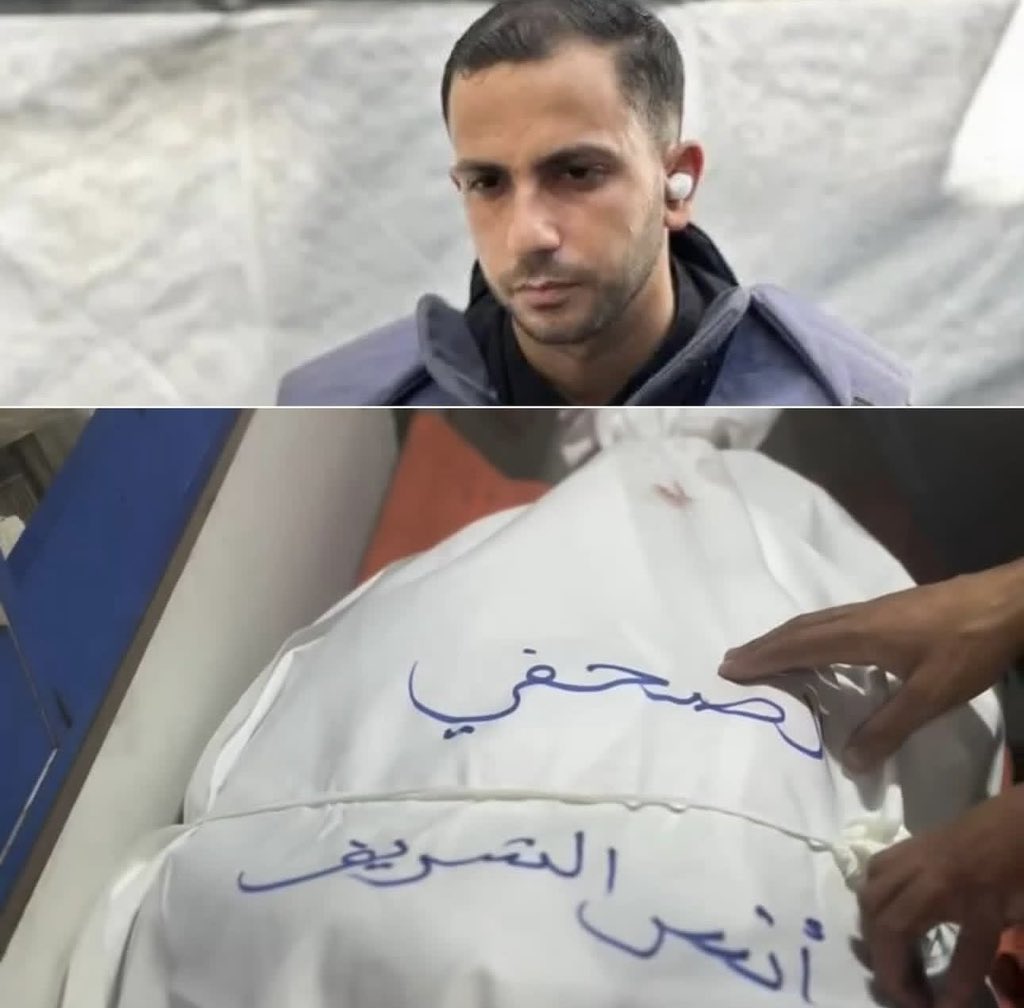 Khaled Safi خالد صافي tweet media