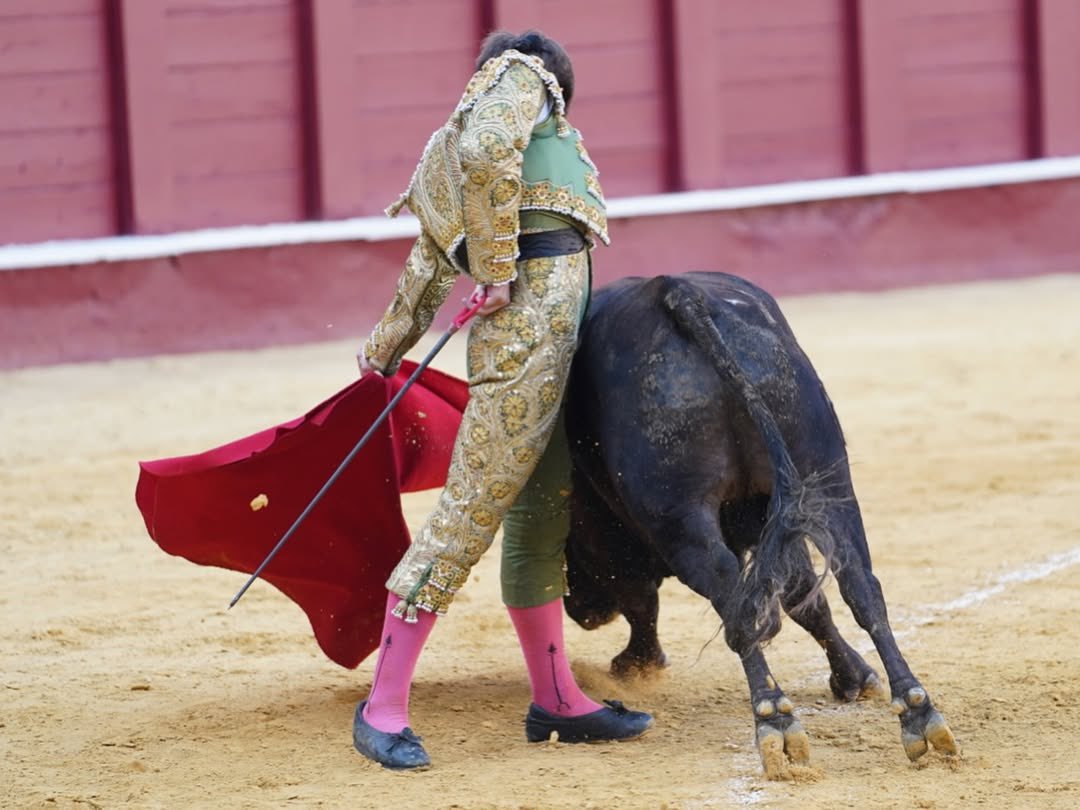 📸 Disfruta de la fotogalería de la 1ª del XVIII Certamen Internacional ‘La Malagueta’.

👉🏻 FICHA DEL FESTEJO:
- Manolo Martínez: Oreja.
• Armando Bustos: Oreja.
• José ‘El Duende’: Palmas.
• Pablo Lozano: Oreja.
• José Jacob Robledo: Vuela al ruedo.

📸 <a href="/davidbrachofoto/">David Bracho</a>
