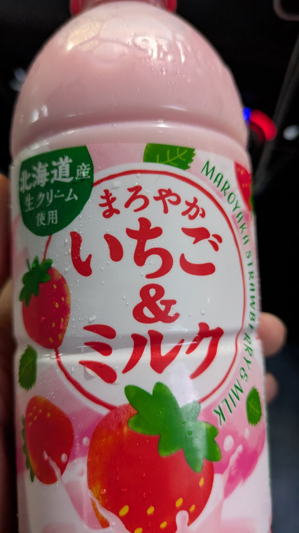 皆の元きくちゃん'25 on X: 