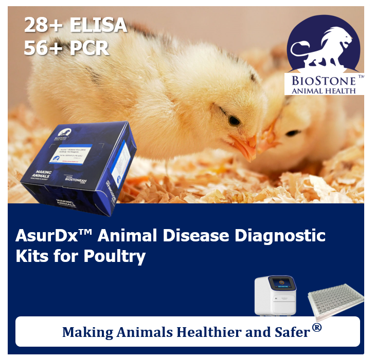 biostoneah's tweet photo. BioStone Animal Health offers a portfolio of poultry ELISA and RT-PCR diagnostic test kits.

#AnimalHealth #BioStone #Poultry

BioStone Animal Health LLC.
For more information, visit our website: https:/www.biostoneah.com

US Headquarters: sales@biostoneah.com +1 (817) 329 0500
Europe: biostone.europe@biostoneah.com +31 202 444 337
Turkiye: biostone.tr@biostoneah.com +90 505 259 0559
Guangzhou: biostone.gz@biostoneah.com +86 133 16182877

Availability/Distribution: Products are designed and developed by BioStone US at our Texas headquarters. Currently, products are only available outside of the USA. Regulatory requirements vary by country; products may not be available in your geographic area.