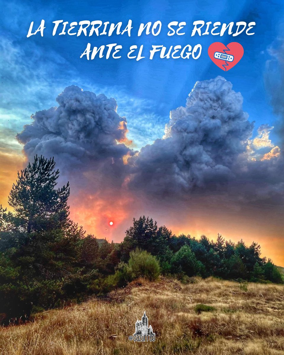 cazurreo's tweet photo. 🔥 LEÓN NO SE RINDE 🔥

Nuestra tierrina arde y duele. Cada llama que avanza no solo quema bosques, sino también recuerdos, historia y vida.

Pero lo que el fuego no puede destruir es la fuerza de nuestra gente. https://t.co/C0oWNHPKmc