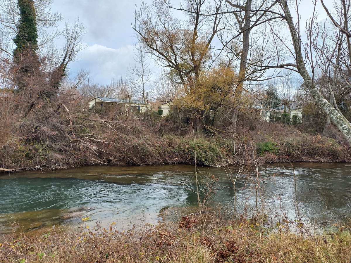 Santi_MBarajas's tweet image. El río Tirón a su paso por Haro (La Rioja), necesita ser renaturalizado. Además es de los pocos sitios donde vive el Visón Europeo. El año pasado presentamos al Ayuntamiento un proyecto para su renaturalización, pero lo rechazó, y renunció a la financiación europea. Lamentable.