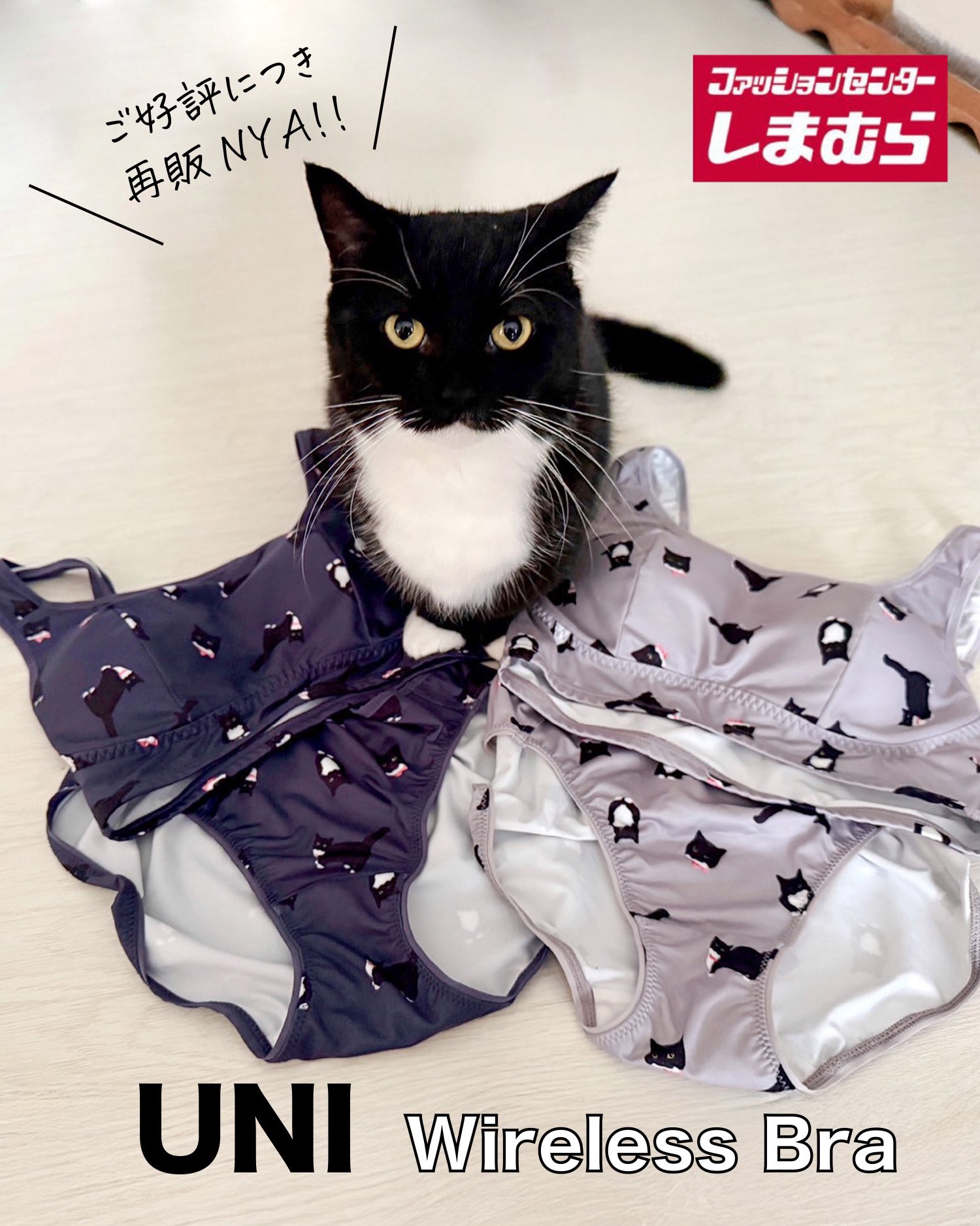 うにちゃんページ I'm Uni :3 on X: 