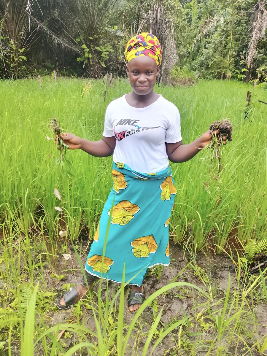 #FAO_Liberia, through its Forest and Farm Facility project is witnessing an exciting new development in rural progress within the lush fields of Twah River District, Nimba County. Seventeen incredible women from the Twah River Beekeepers Association #TRIBA, who were previously