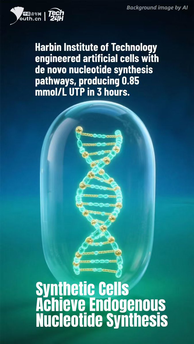 YouthChina's tweet image. #Tech24H #HarbinInstituteofTechnology engineered #artificialcells with de novo nucleotide synthesis pathways, producing 0.85 mmol/L UTP in 3 hours. Combined with CTP, GTP, ATP, and T7 RNA polymerase, this enables autonomous RNA transcription – a milestone for synthetic biology.…