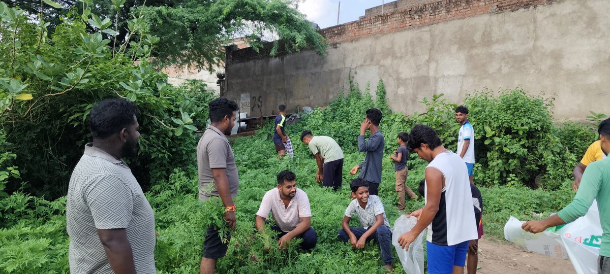 bdo_rayagada's tweet photo. On dated- 10-08-25 Cleanliness/ Sanitation  drives at Community level conducted  Rayagada GP under the Banner of #harghartirangahargharswachhata under Rayagada Block
#AzadiKaAmritMahotsav #HGT2025 #SwachhBharatMission 
@CDO_ZP_GJP 
@DM_Gajapati
@CMO_Odisha
@PMOIndia
@PRDeptOdisha https://t.co/6z7sxSiqrl