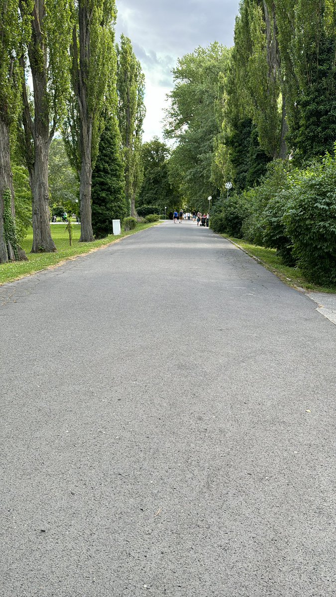 📍 عندما تمشي بين الأشجار، أنت لا تمارس الرياضة فقط، بل تتيح لعقلك أن يهدأ ولجسمك أن يتنفس هواءً أنقى، مليئًا بالأكسجين
Hello