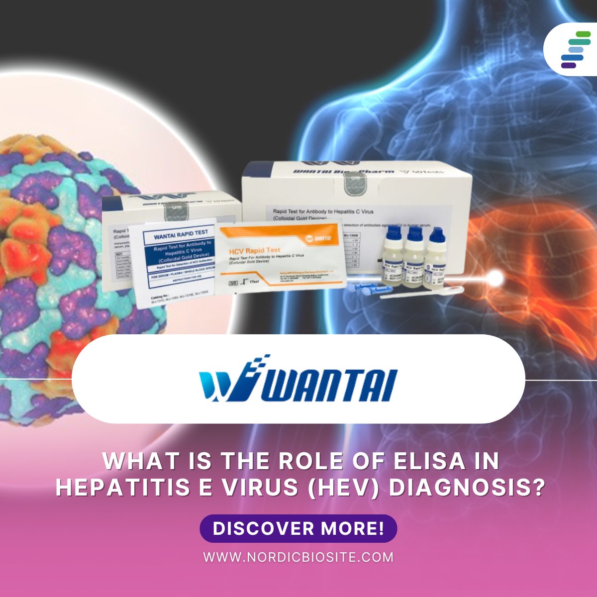 NordicBioSite's tweet photo. 🧫 Focused on hepatitis research or diagnostics?
🧪 Learn more about the HEV kits and how they can support your work: https://t.co/murBHqypTs
#HepatitisE #HEV #ELISA #InfectiousDisease #Diagnostics #BeijingWantai #NordicBiosite #LifeScienceTools #PublicHealth #LabSolutions https://t.co/qpTpgRQHmL