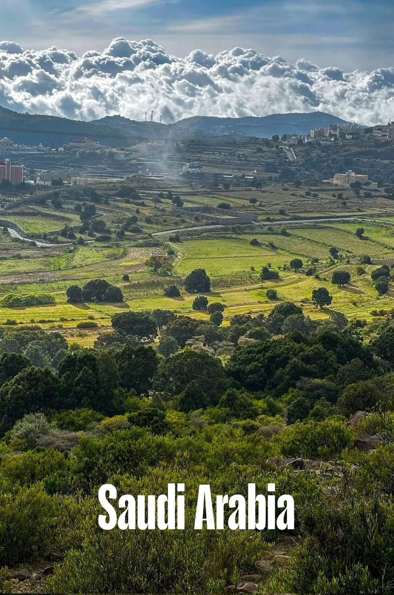 كولومبوس 🐪 (@columbuos) on Twitter photo 