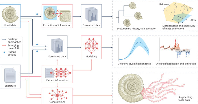 Nature Reviews Biodiversity tweet media