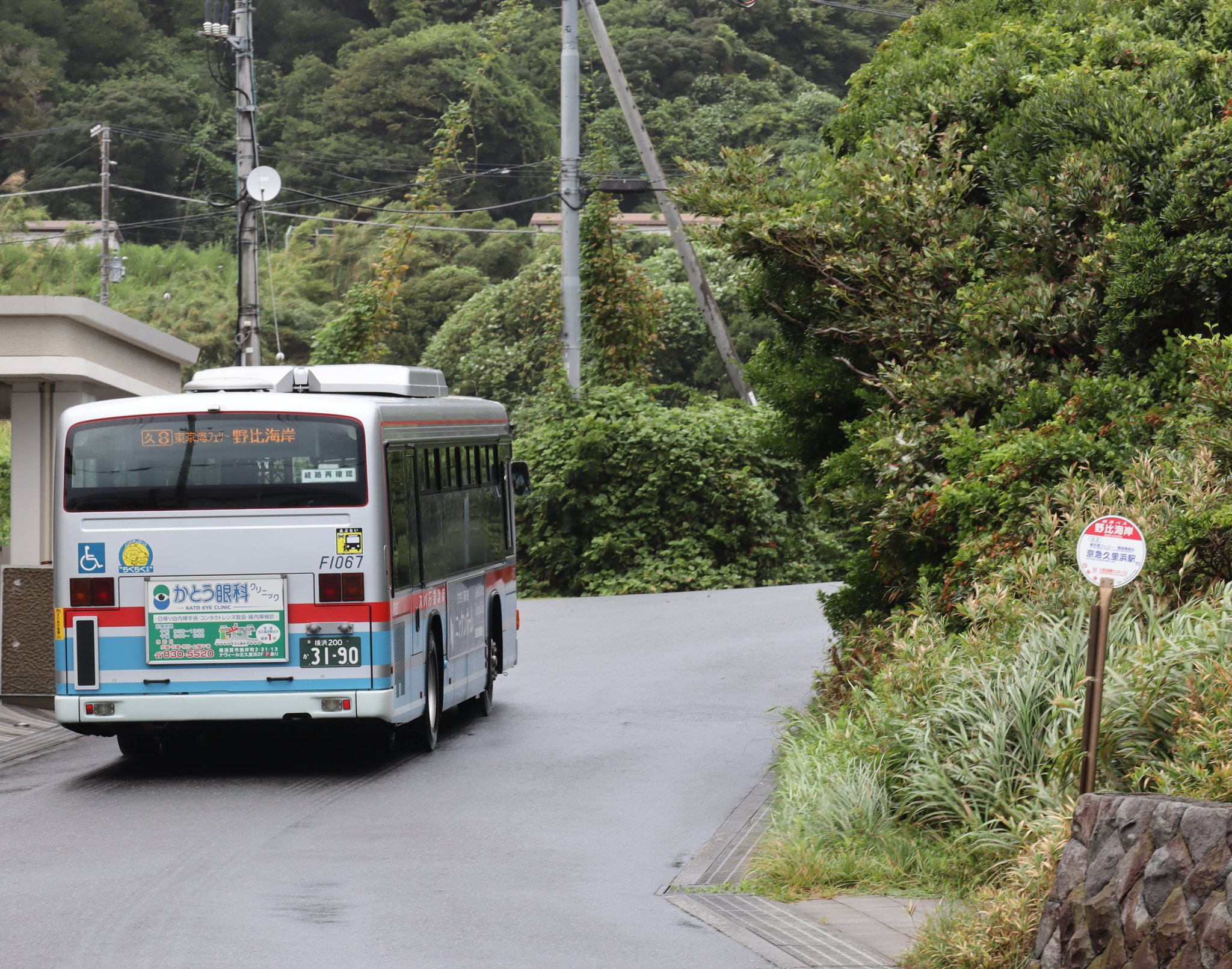 海岸通り散歩中☆専用 ぽけふくろう on X: 