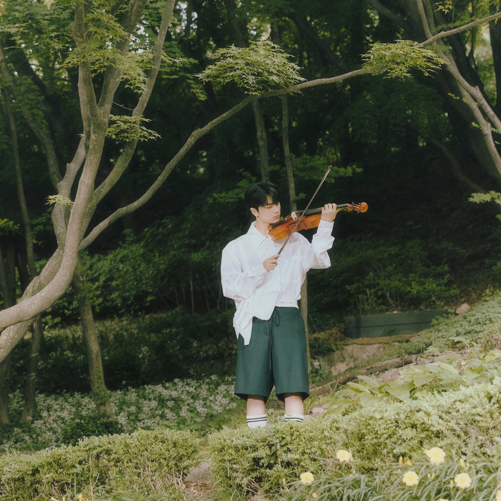 anime                                              real life