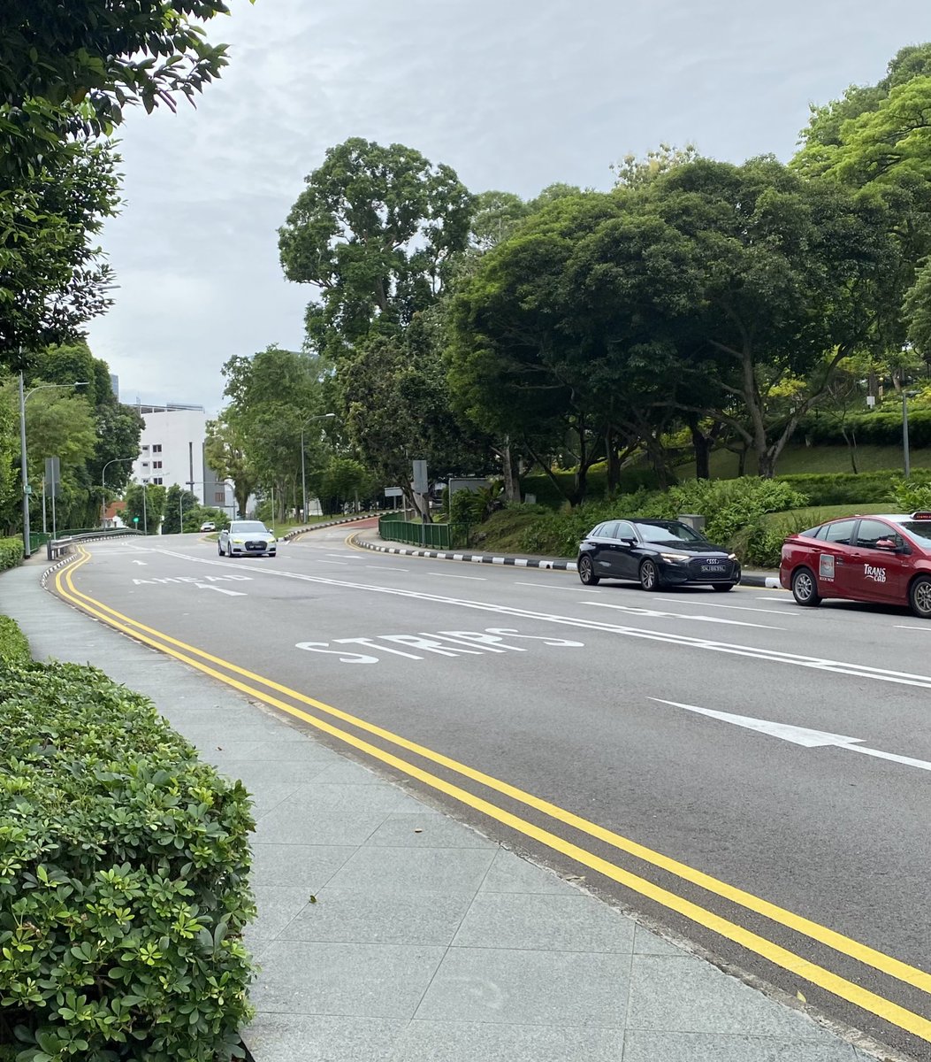 in between daily tweet media