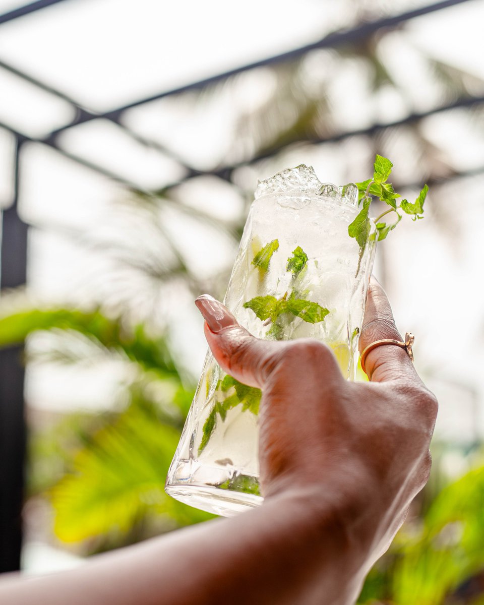 TheGridLagos's tweet photo. POV: You said “just one drink” but it tastes like paradise in a glass 😎🍃
Stay cool, sip minty.

#TheGridLagos #SipAndChill #MojitoMood https://t.co/Knlt2eR9ux