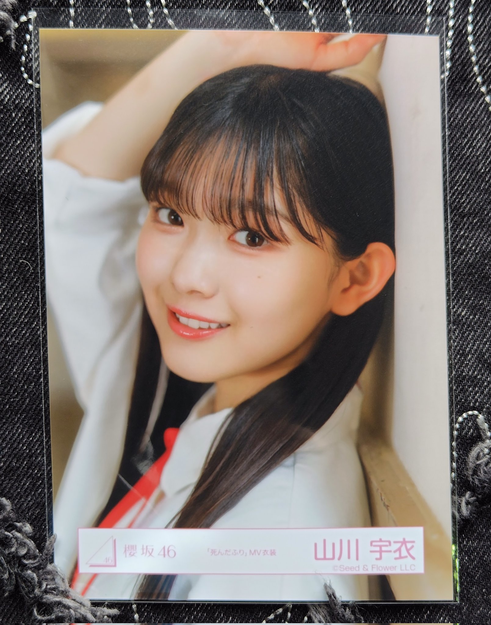 櫻坂46 山川宇衣 死んだふり MV衣装 生写真 8種 コンプ 櫻坂46 生写真 山川宇衣 死んだふり MV衣装 8種コンプ