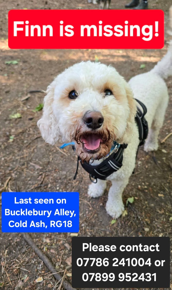 FINN is still missing from Drove Lane in Cold Ash.

Please can anyone in Drove Lane &amp; Bucklebury Alley put water outside their houses as its supposed to get hot over the next few days.

We are worried as he has an ear infection &amp; are worried this is getting worse.