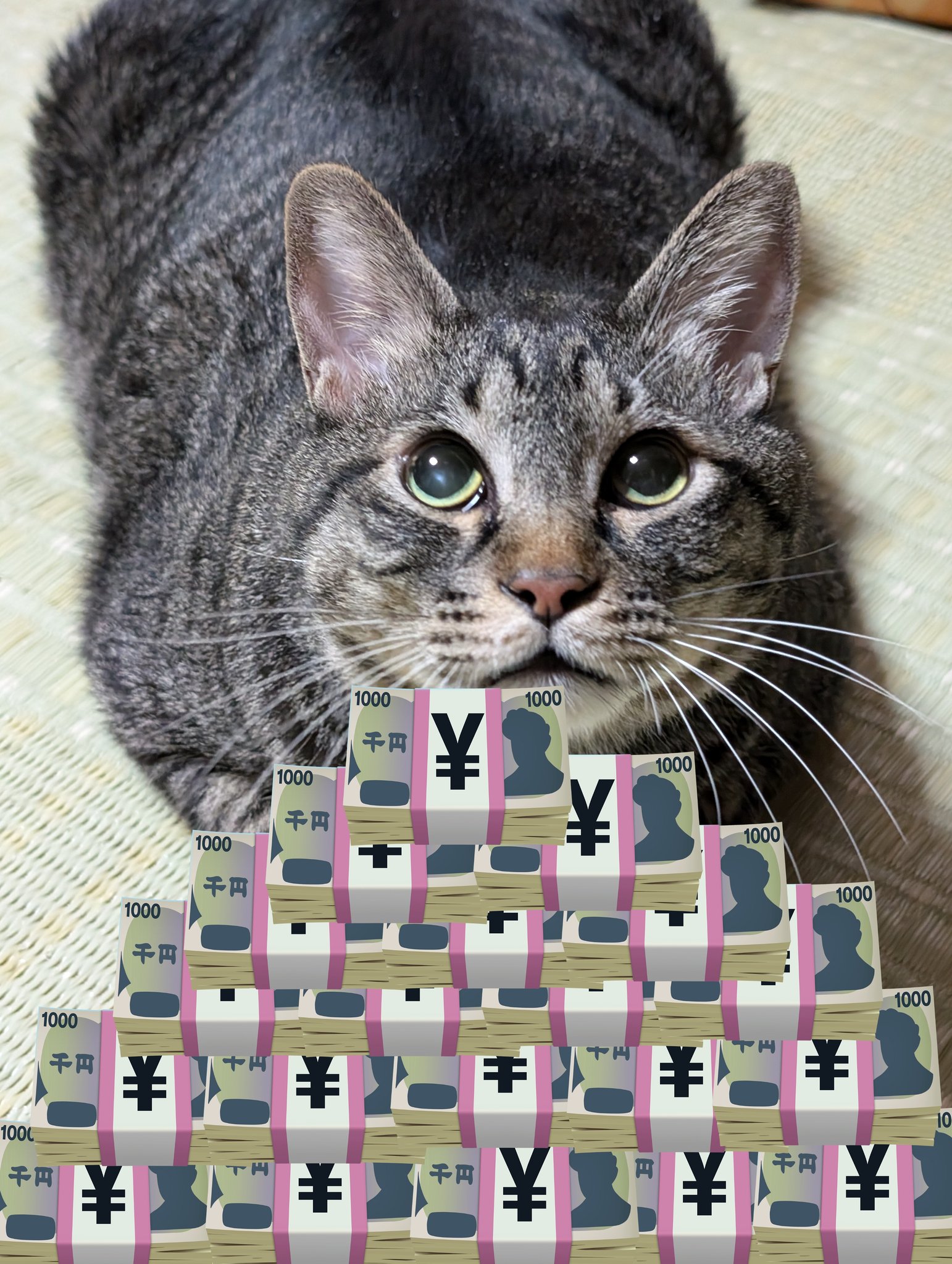 あきよし on X: 