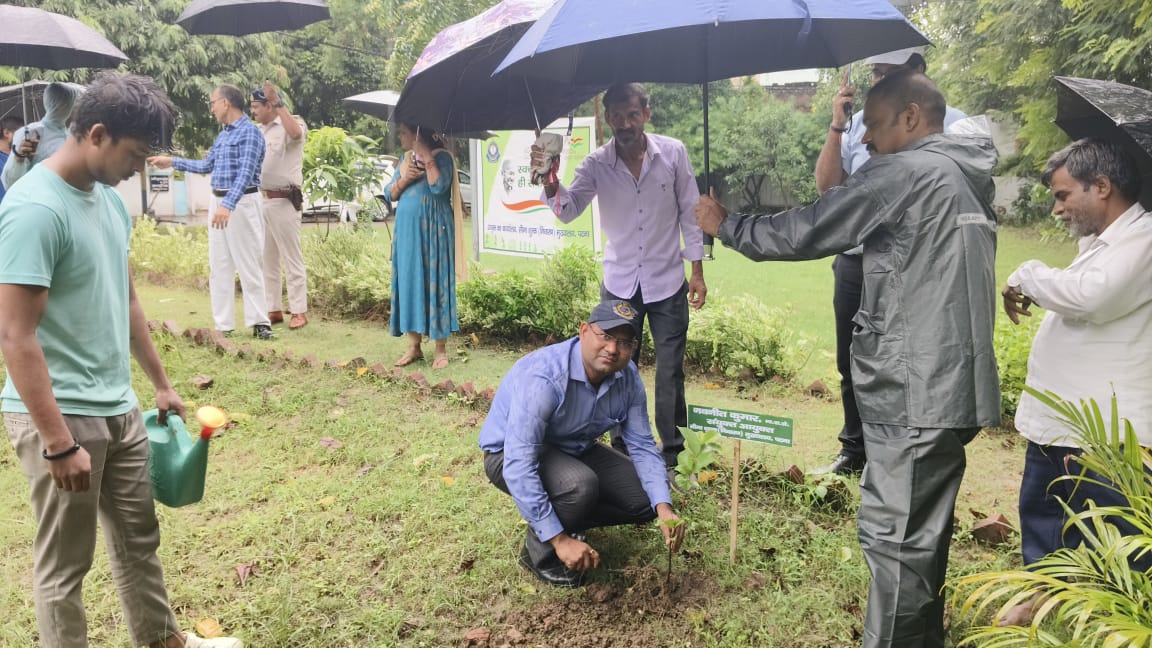 CustomsPatna's tweet photo. Under Swachhta Pakhwara, 2025 plantation at Central Revenue Colony, Salimpura Dumra, Patna have been done by and in  supervision of Sri Vikash Kumar, Chief  Commissioner and Sri Mohan Kumar Meena, Commissioner of Customs (P) Patna. https://t.co/kLp08FQqMe