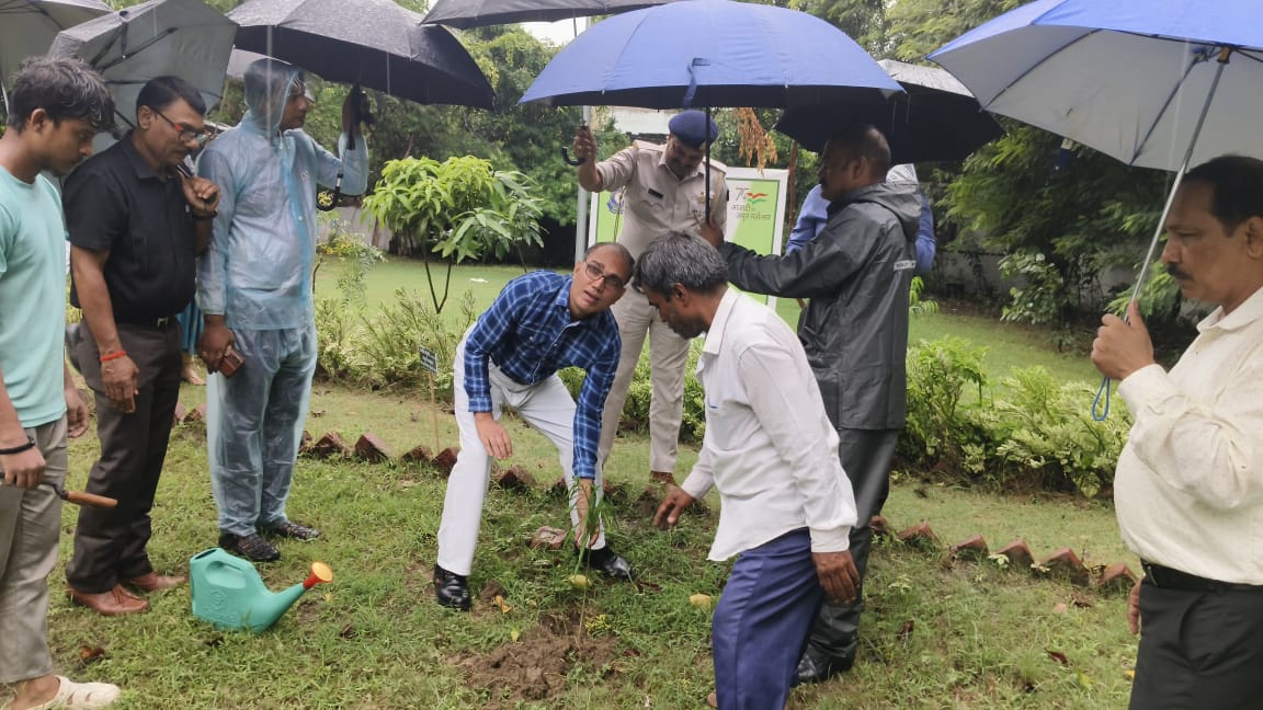 CustomsPatna's tweet photo. Under Swachhta Pakhwara, 2025 plantation at Central Revenue Colony, Salimpura Dumra, Patna have been done by and in  supervision of Sri Vikash Kumar, Chief  Commissioner and Sri Mohan Kumar Meena, Commissioner of Customs (P) Patna. https://t.co/kLp08FQqMe