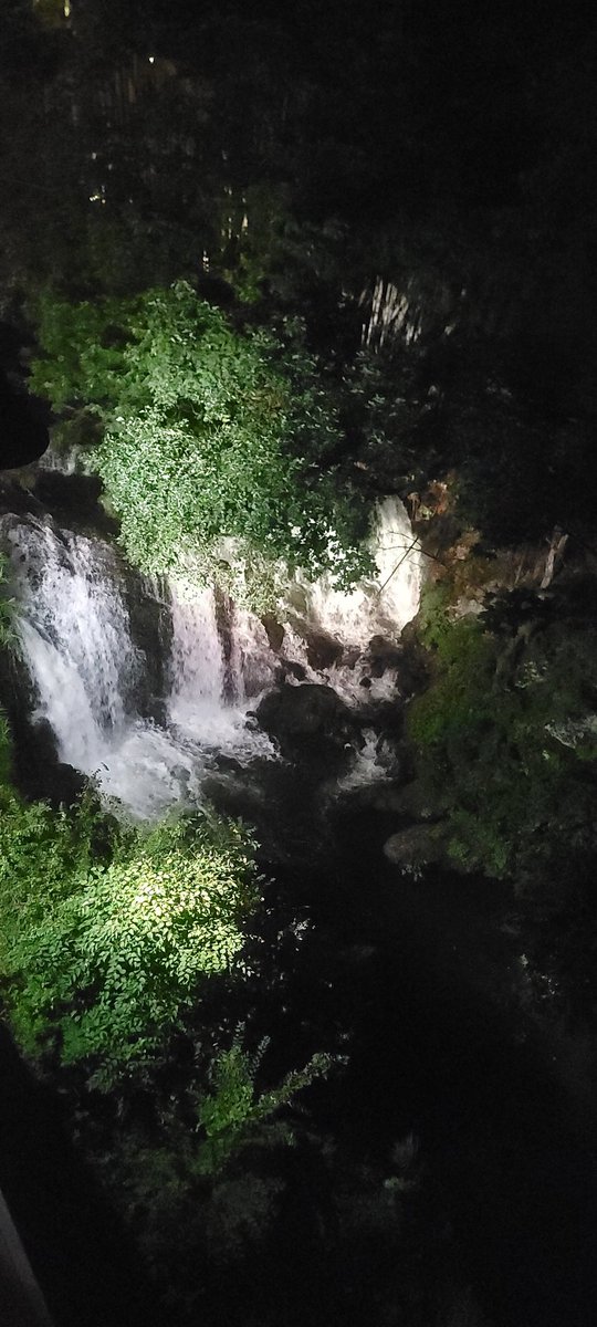 仕事ついでに旅行😊
いい旅館をとって満喫
 #福島