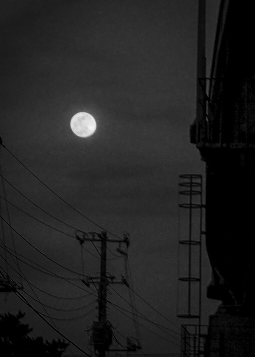 yacci_lml's tweet image. YACCI's photo

#eyephotomagazine#bnw_artstyle　#bnw_rose #bnw_epic #bnw_demand #bnwzone #bnw_planet_2020 #raw_bnw #bnw_captures #bnw_switzerland #bnwMagic #bnwsouls #bnw_drama #bnwmood
 #bnw_workers_5k #bnw_focus_on #bnw_igers_ #BNWMASTER #b #bw_maniac #bnwmood #bw_curators_mood