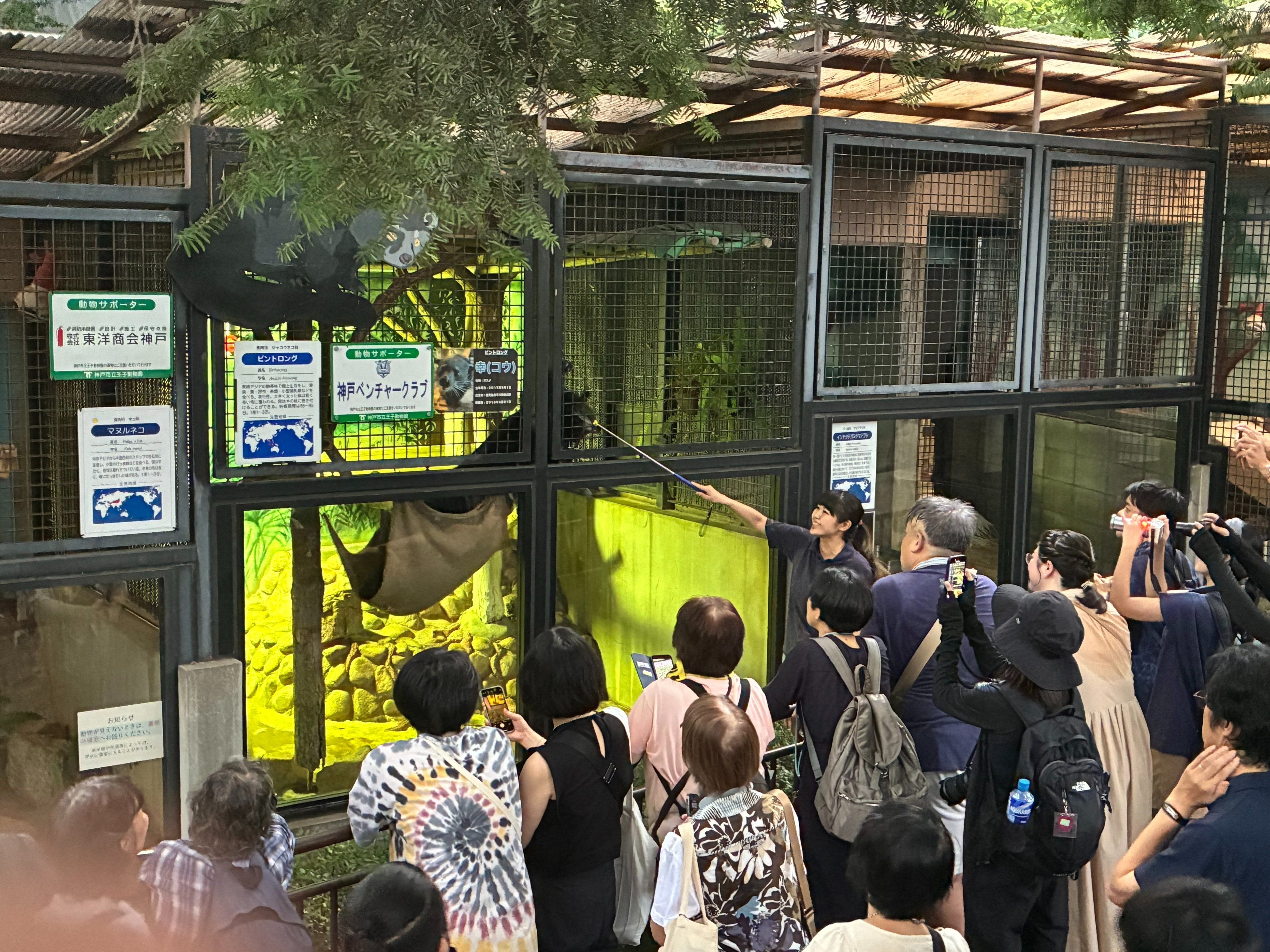 神戸市立王子動物園（公式） on X: 