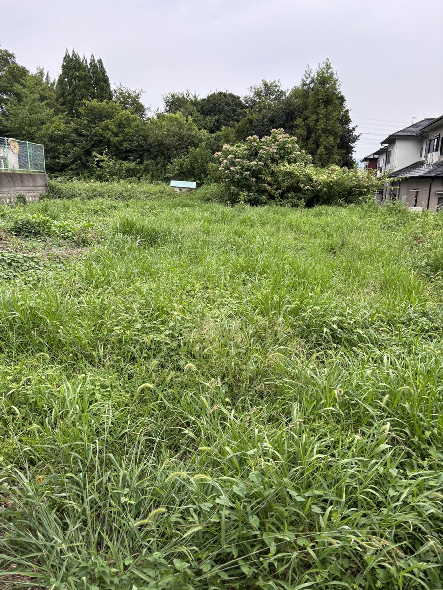 Hbucyo's tweet image. 庭の雑草に悩まされています。。雑草に悩まされている場所は相当数あり、農地のみならず、空き地、道路、河川敷、用水路、工場や倉庫の外周、墓地や寺社の敷地、太陽光発電の周囲、ゴルフ場、、思い付くだけでも山ほどありますね

prtimes.jp/main/html/rd/p…

#雑草対策 #Allynav #草刈りロボット