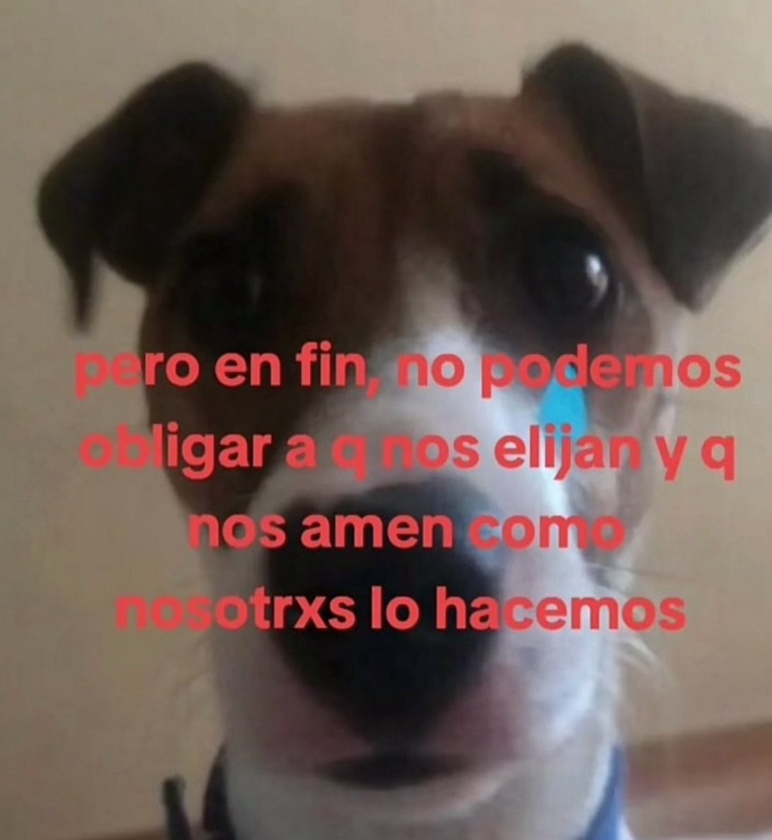 skereunpesado's tweet photo. https://t.co/jQd6RMLiGo