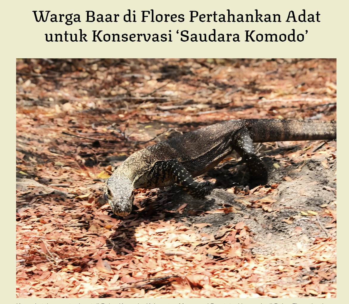 𝐤𝐨𝐦𝐨𝐝𝐨