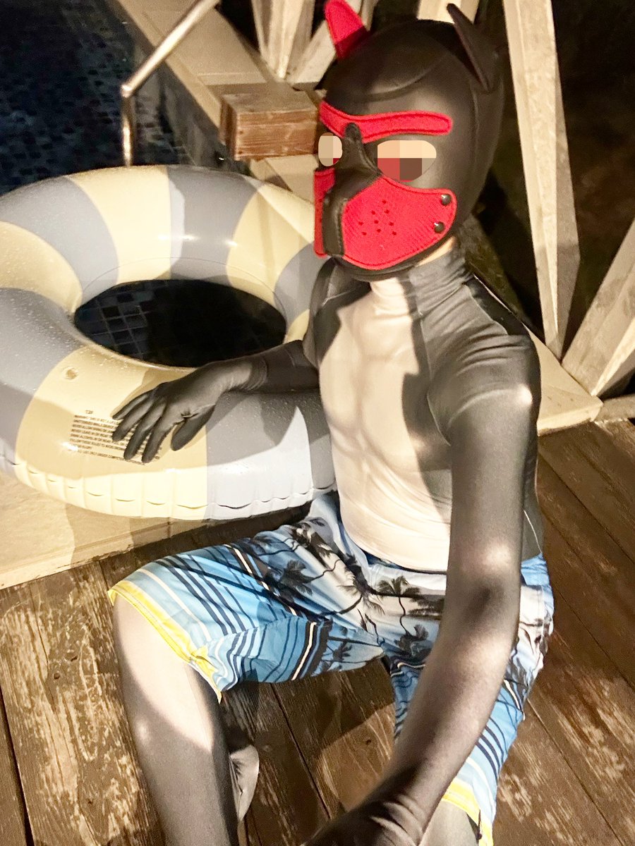 プールサイドでピッチリシャチワンちゃん✨
良いシチュエーションで撮れました📸