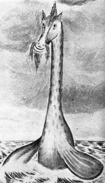 A drawing of the Corinthian sea serpent. The captain of the vessel that saw the animal described it as a "lovely sea giraffe with bonny blue eyes"